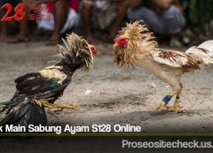 Taktik Main Sabung Ayam S128 Online